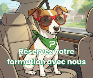 Chien portant des lunettes dans une voiture